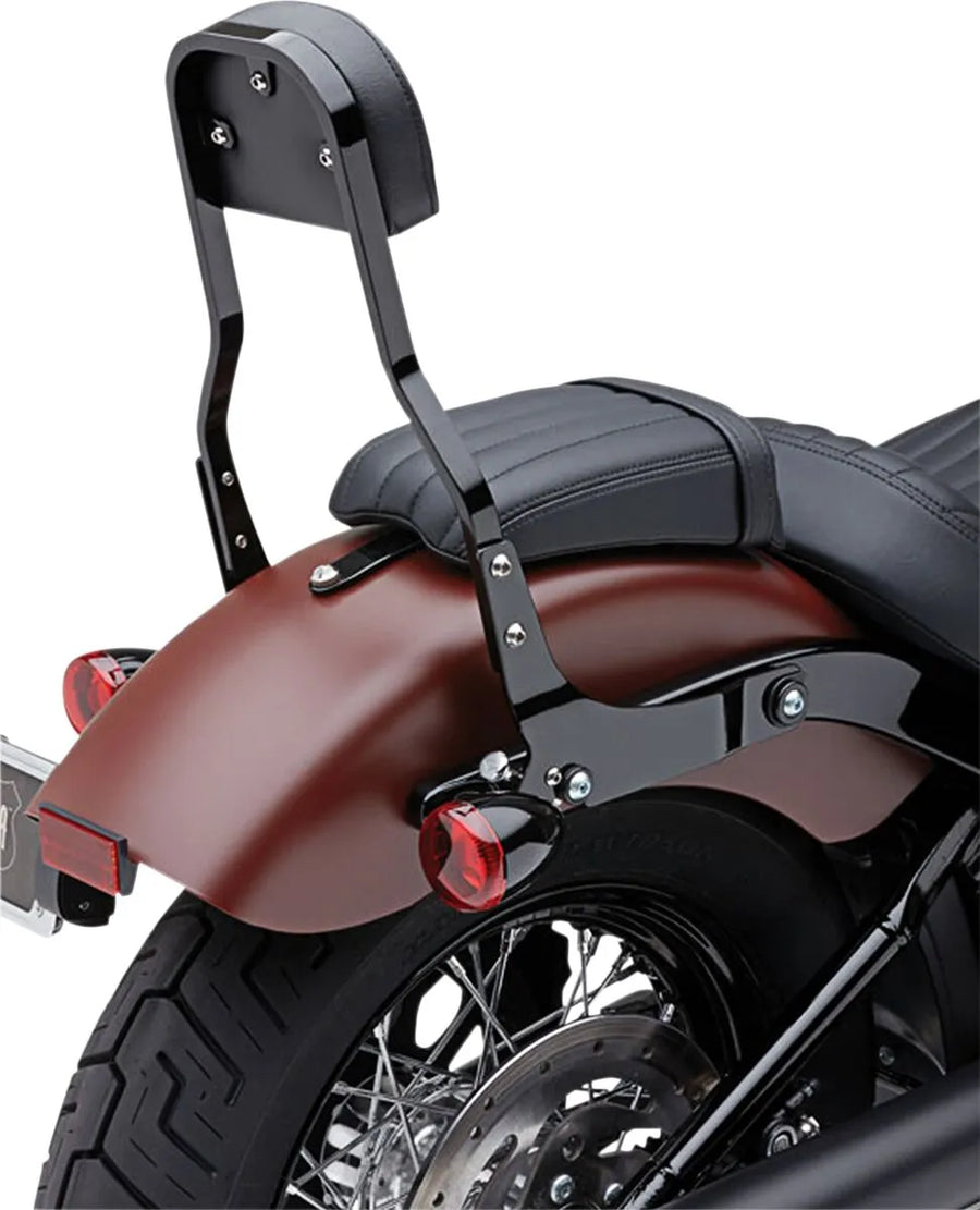 Harley-Davidson Street Bob [COBRA] – Aftageligt ryglænssæt