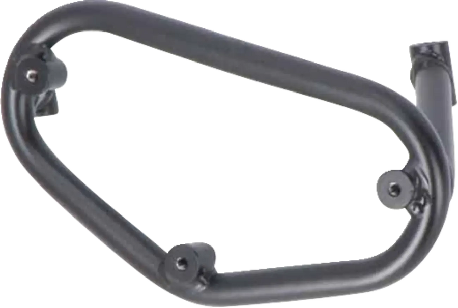 BMW F 900 [SW-MOTECH] – SLC sidebagageholder