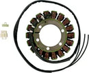 Suzuki DL 1000 [RICK'S MOTORSPORT ELECTRIC] – Stator til Suzuki