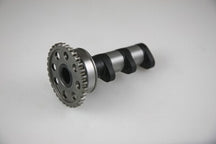 Kawasaki KLX 400 (KLX 400 A) [2003-2004] - Nockenwelle Auslass - Stage 1