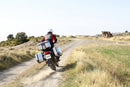 Honda nr. 750 [SHAD] - TR47 Terra højre sidetaske-10