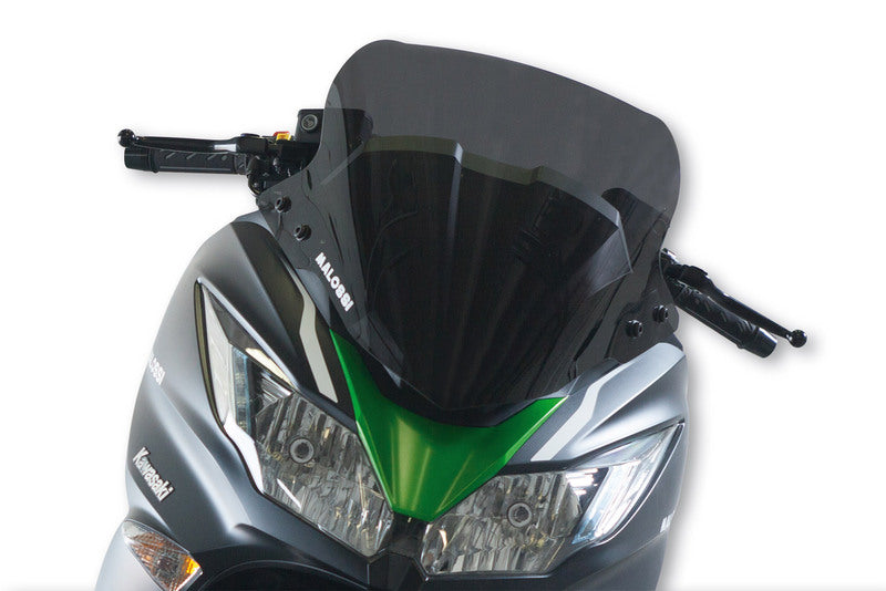 Kawasaki J 125 [MALOSSI] - Sportsforrude - Kawasaki J300