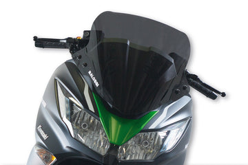 Kawasaki J 125 [MALOSSI] - Sportsforrude - Kawasaki J300