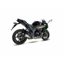 Kawasaki Ninja 1000 [IXIL] - RC lyddæmper i rustfrit stål / endestykke carbon - CK7294RC