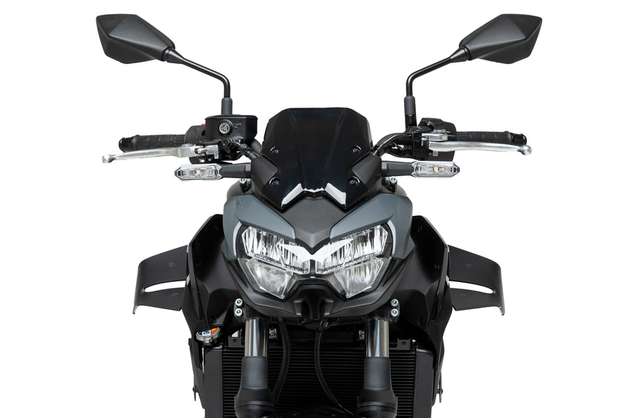 KAWASAKI Z 650 [2025] – D12 Spoiler – Mat Sort