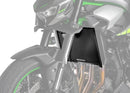 KAWASAKI Z 650 [2024] - Sidespoiler med nøgen kåbe forrude-2