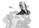 CFMOTO 450 SR [2025] – Z-Racing skærm – Gennemsigtig-2
