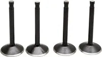 Harley Davidson Flfb [KIBBLEWHITE] – Black Diamond™ motorventilsæt