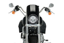 HARLEY DAVIDSON SOFTAIL LOW RIDER FXLR [2020] – Anarchy – Sort-7