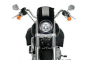 HARLEY DAVIDSON SOFTAIL LOW RIDER FXLR [2020] – Anarchy – Sort-5