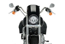 HARLEY DAVIDSON SOFTAIL LOW RIDER FXLR [2020] – Anarchy – Sort-3