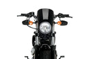 HARLEY DAVIDSON SPORTSTER FORTY-EIGHT XL 1200 X [2020] – Anarchy – Sort-3