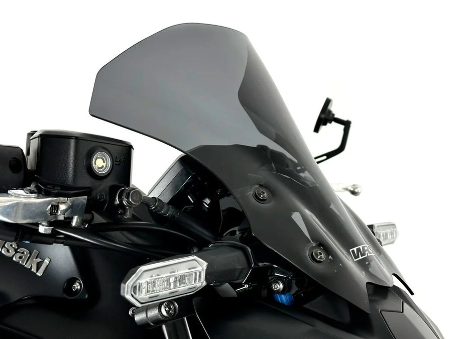 Kawasaki Z 900 [WRS] - forrude