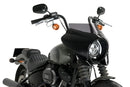 HARLEY DAVIDSON SOFTAIL STREET BOB FXBB [2019] – Mirage – Stærkt tonet-12