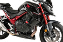 HONDA CB 750 HORNET [2024] – Sidespoiler med nøgen kåbe forrude-8