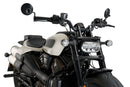 HARLEY DAVIDSON SPORTSTER S RH 1250 S [2024] – Fury – Stærkt tonet-26