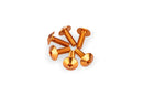 KTM RC 390 [2025] – Anodiseret Disc Bolt Kit – Sort-65