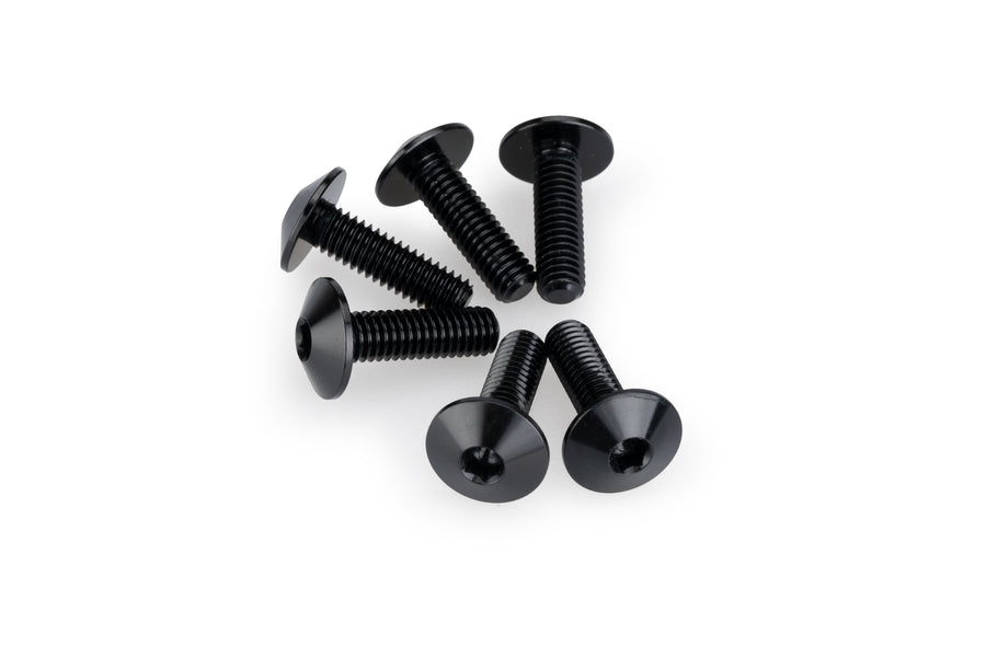KTM RC 390 [2025] – Anodiseret Disc Bolt Kit – Sølv