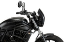 KAWASAKI ELIMINATOR 500 SE [2025] – Anarchy – Sort-10