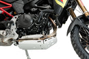 BMW F 900 GS [2025] – Motorværn – Sølv-37