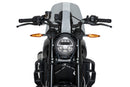 INDIAN FTR 1200 SPORT [2025] – New Generation Sport – Gennemsigtig-3