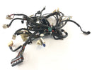 Yamaha XT 660 DM01 [2005] - Ledningsnet-1