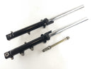 Triumph Bonneville 800 T100 [2004] - Gaffel Suspension Fork - Simmer Rings lækage-1