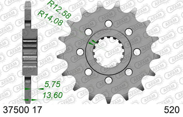 Aprilia TUONO 660 FACTORY [2022-2026] - Kædesæt 520XSR 16/43-110 - Standard kædehjul