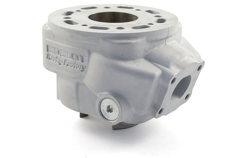 Beta RR SM 50 2T - Zylinderkit RF50WR