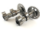 Aprilia Mille RSV 1000 ME [1999] - Camshafts Set Front Cylinder-2