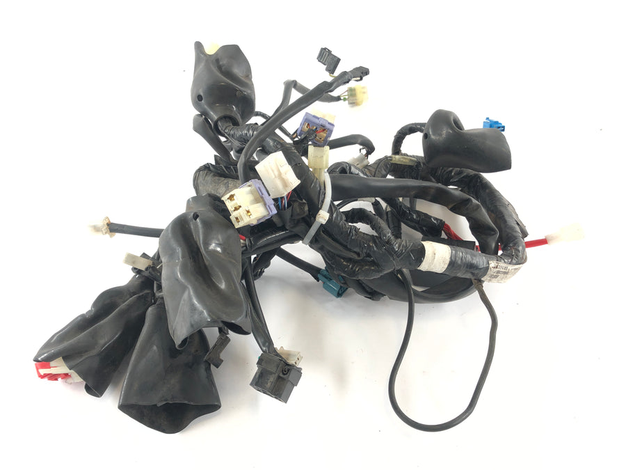 Yamaha WR 125 R DE07 [2016] - Ledningsnet
