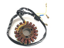 Husaberg Fe 501 [2002] - Generatorstator-1