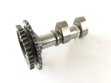 Aprilia RSV 1000 RR Factory [2009] - Camshaft Outlet Camshaft Cylinder bagefter