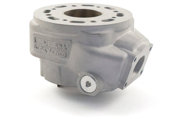 Beta RR SM 50 2T - cylindersæt Racing RF50WR