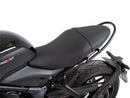 Triumph Trident 660 [2021-2024] - Palaance Holding Concept-4