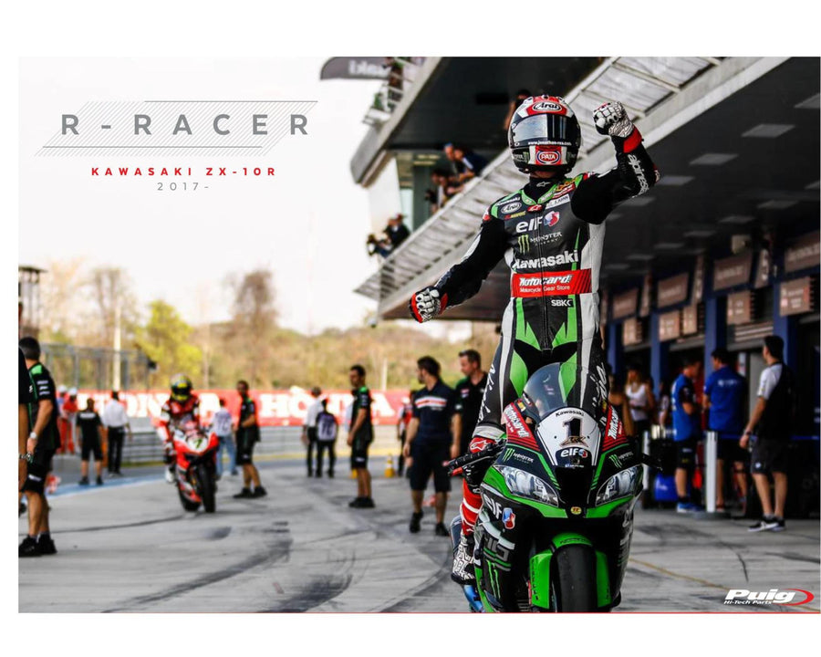 KAWASAKI ZX-10RR NINJA PERFORMANCE [2018] – R-Racer skærm – tonet