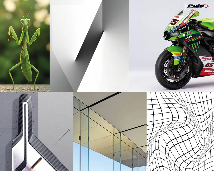 KAWASAKI Z 900 SE [2025] – Ny generation Sport – Gennemsigtig