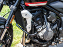 Triumph Trident 660 [2021-2024] - Motorbeskyttelsesbeslag inklusive ProtectionPad-1