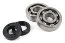 Aprilia SR Netscaper 50 2T LC - Zylinderkit und Kurbelwelle 70 Grauguss LC