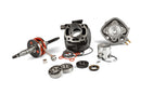 Aprilia SR Netscaper 50 2T LC - Zylinderkit und Kurbelwelle 70 Grauguss LC