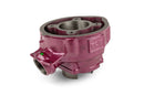 Peugeot XPS-SM 50 2T AM6 - Zylinderkit Due Plus 75 ccm