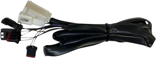 Harley-davidson Road Glide [CUSTOM DYNAMICS] – ProBEAM® Integrerede flade LED-baglygter med ekstra indikatorer