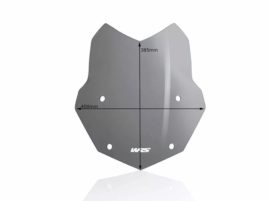 BMW R 1200 R [WRS] - forrude