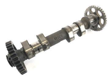 BMW F 800 S [2007] - Kamakselindgang Camshaft