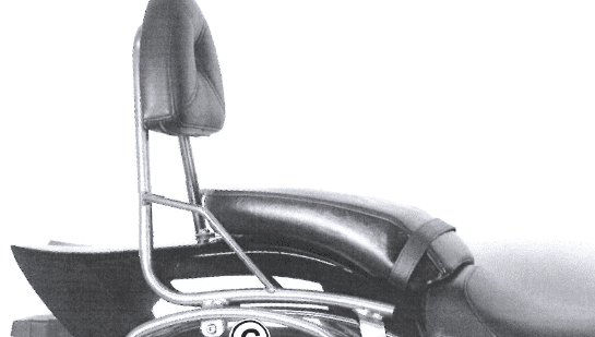 Suzuki M 800 indtrængende [2005-2009] - Sissybar uden bagagebro