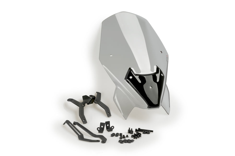 BMW F 900 R [2024] – New Generation Touring kåbevindue – tonet