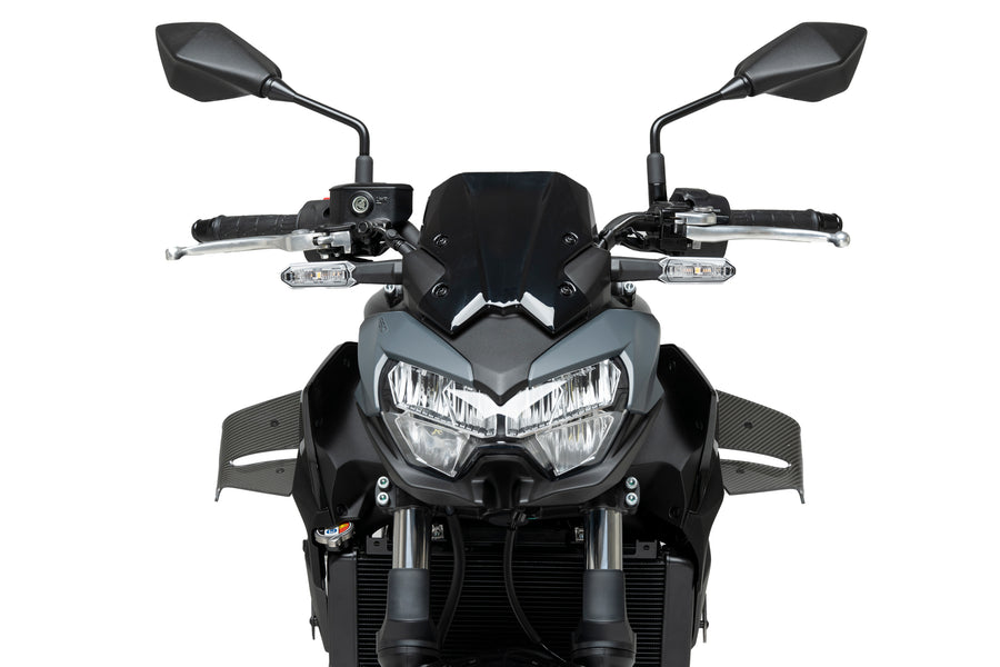 KAWASAKI Z 650 [2025] – D12 Spoiler – Sort