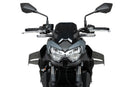KAWASAKI Z 650 [2025] – D12 Spoiler – Mat Sort-8