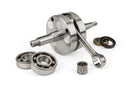 Fantic XM 50 2T - Kurbelwelle TPR 100ccm Hub 47mm Pleuel 98mm