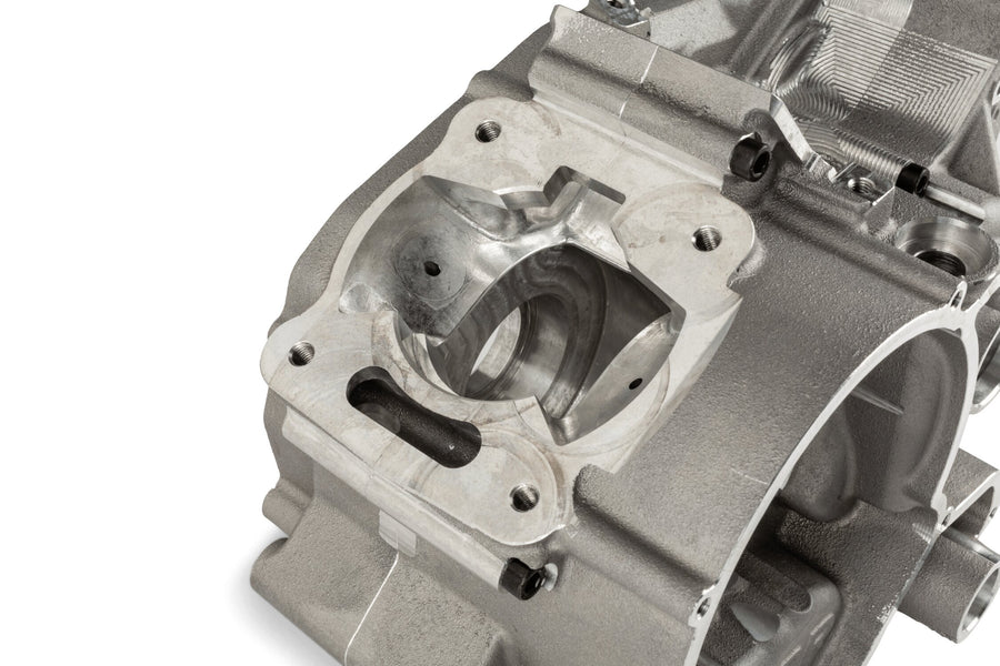 Beta RR SM 50 2T - Motorgehäuse TPR Factory FL100